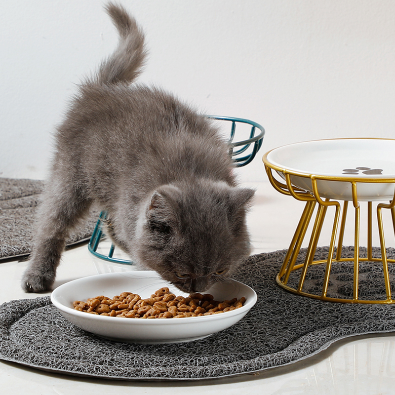 2024 New Pet Ceramic Bowl Iron - Food Snacks To Eat 评论和价格